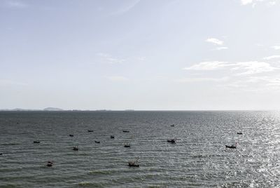 Birds swimming in sea against sky