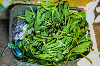 High angle view of green leaves