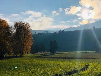 Scenic view of field against sky