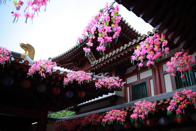 Low angle view of flowers