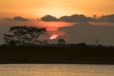 Silhouette of trees by lake against sky at sunset