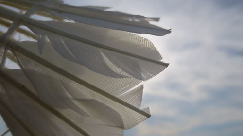 Low angle view of paper against sky