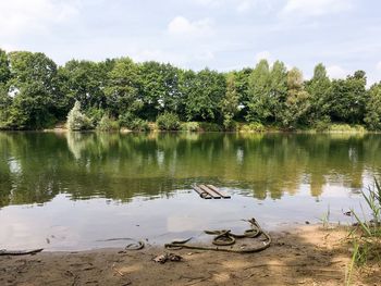 Scenic view of lake by trees against sky