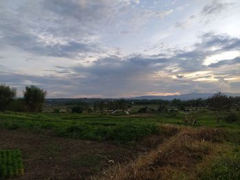 Scenic view of field against sky during sunset