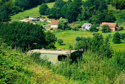 House on field by trees and plants