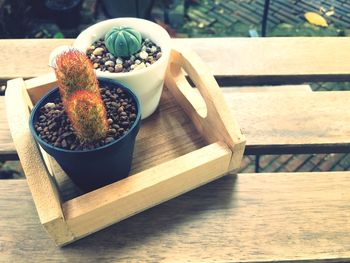 Potted cactus plants on wooden table