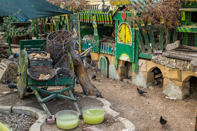 The duck village on malta, located on manoel island in gzira. wooden houses built for animal 