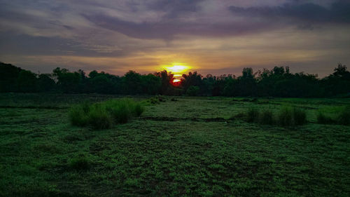 Scenic view of field against sky during sunset
