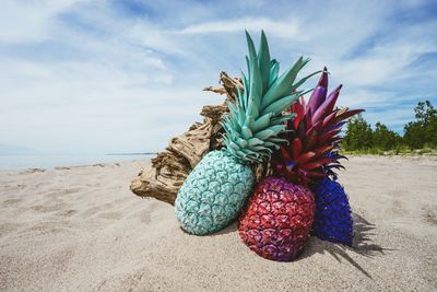 Fruits growing on shore at beach against sky