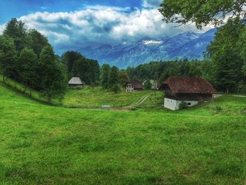 Scenic view of grassy field against sky