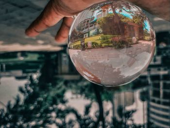 Close-up of person holding glass