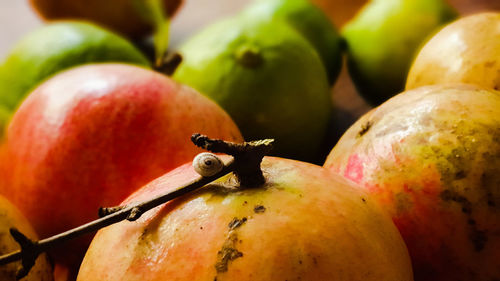 Close-up of apple for sale