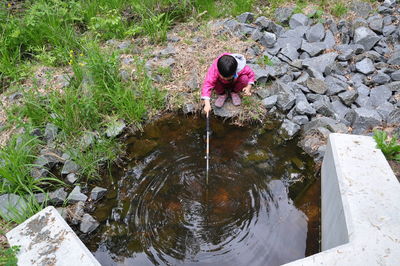 High angle view of girl fishing in pond