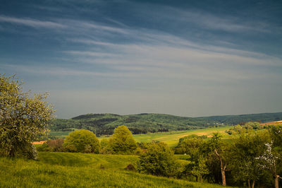 Scenic view of field against sky