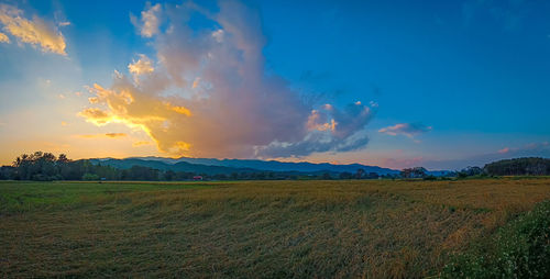 Scenic view of field against sky during sunset