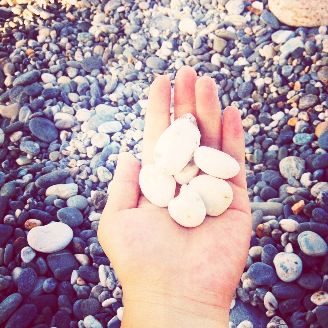 person, personal perspective, part of, holding, high angle view, unrecognizable person, stone - object, human finger, lifestyles, pebble, cropped, leisure activity, freshness, close-up, day, outdoors