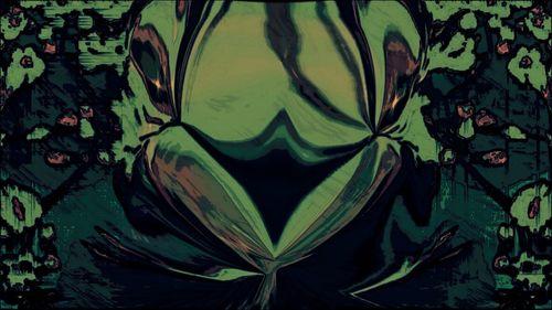 Full frame shot of leaves