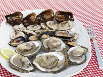 Close-up of served food