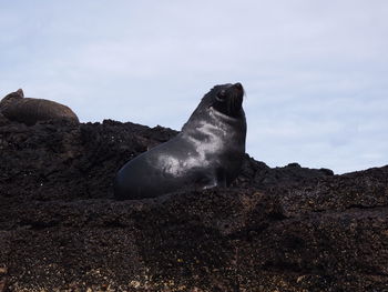 Low angle view of sea on rock against sky