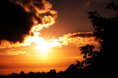 Silhouette trees against dramatic sky during sunset