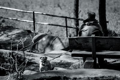 Rear view of man sitting on bench