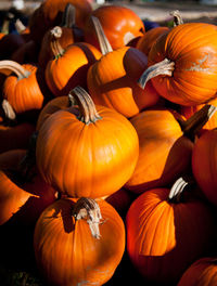 Full frame shot of pumpkins for sale at market