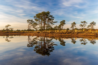 Reflection of trees in lake against sky