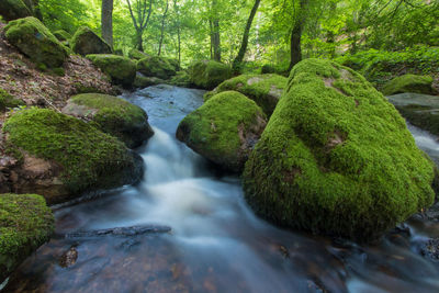 Brisecou waterfall in autun in the forest in burgundy in summer