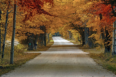 Road amidst trees during autumn