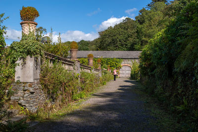 Walkway amidst plants and trees against sky