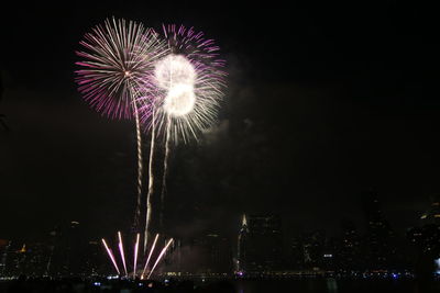 Low angle view of firework display in sky at night