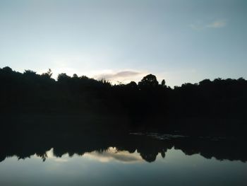 Reflection of trees in lake