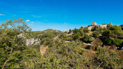 Trees on landscape against clear blue sky