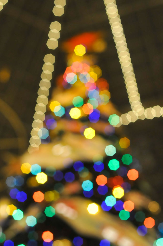 CLOSE-UP OF ILLUMINATED CHRISTMAS LIGHTS