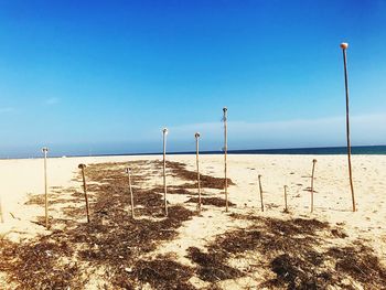 Wooden posts on beach against clear blue sky