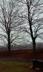 Bare tree on landscape against sky