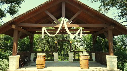 Plants growing in backyard