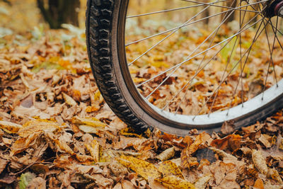 Close-up of dry leaves on bicycle during autumn