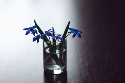 Close-up of flower vase on glass table