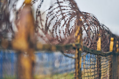 Barbed wire on fence of restricted area. no unauthorized entry. old fence, military border territory