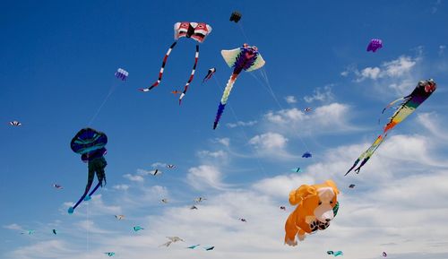 Low angle view of various kites flying in sky