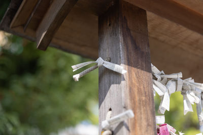 Close-up of wooden post