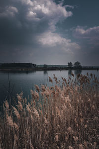 Scenic view of lake against sky