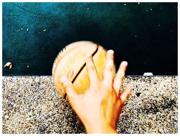 Cropped image of human hand holding sea