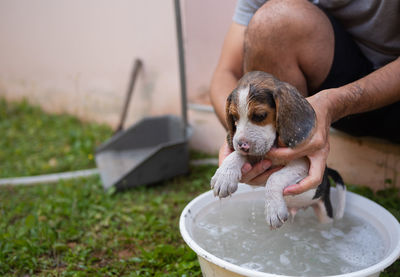 Midsection of man bathing puppy in yard