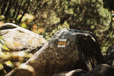 Close-up of rocks