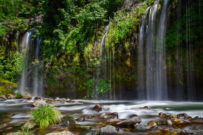 Scenic view of waterfall in forest