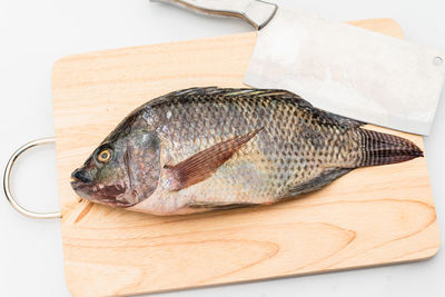 High angle view of fish on cutting board