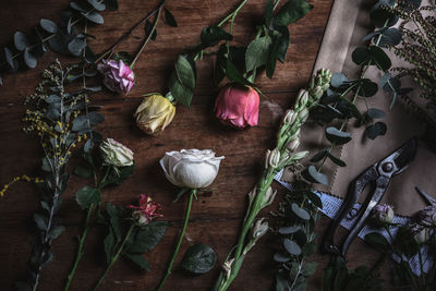 High angle view of potted plants on table