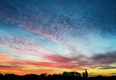 Low angle view of silhouette trees against dramatic sky